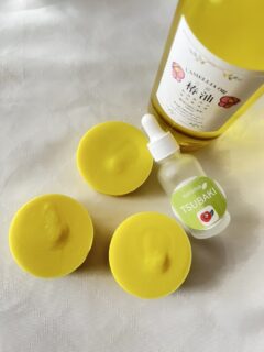 葉山ワークショップ　「丸ごと大島椿」